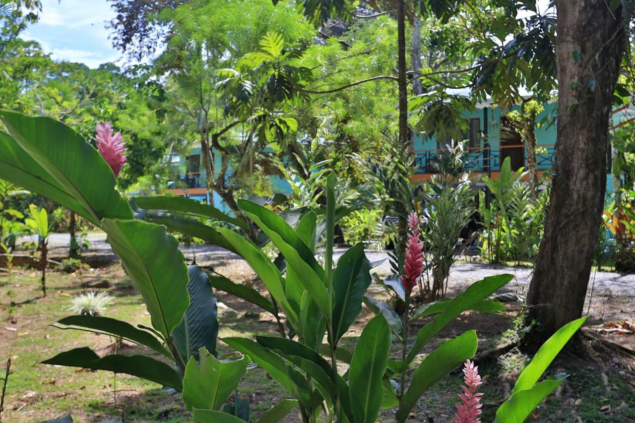 Manzanillo Caribbean Resort Puerto Viejo de Talamanca Luaran gambar